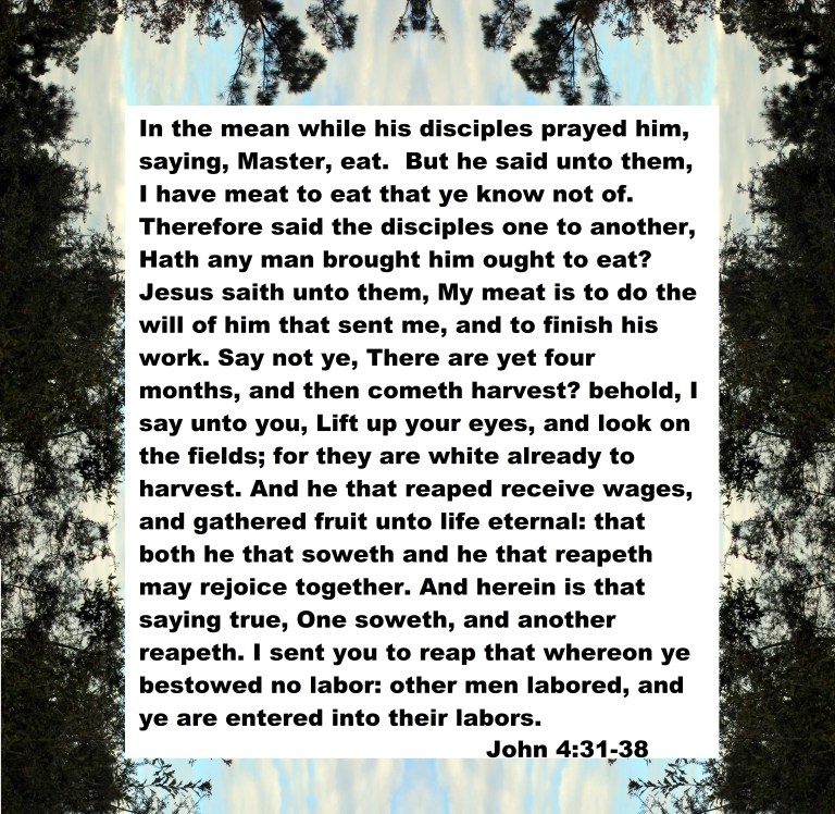 © Photo Artist Susan Ruth Robertson 090025006100 015 - Copy.JPG