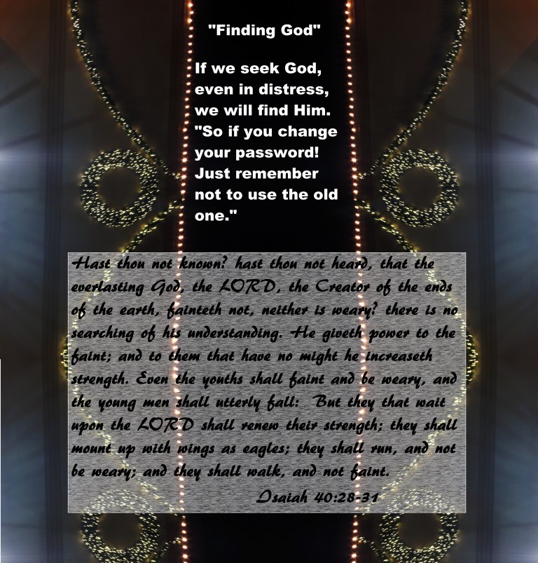 © Photo Artist Susan Ruth Robertson 090025006100 015 - Copy.JPG