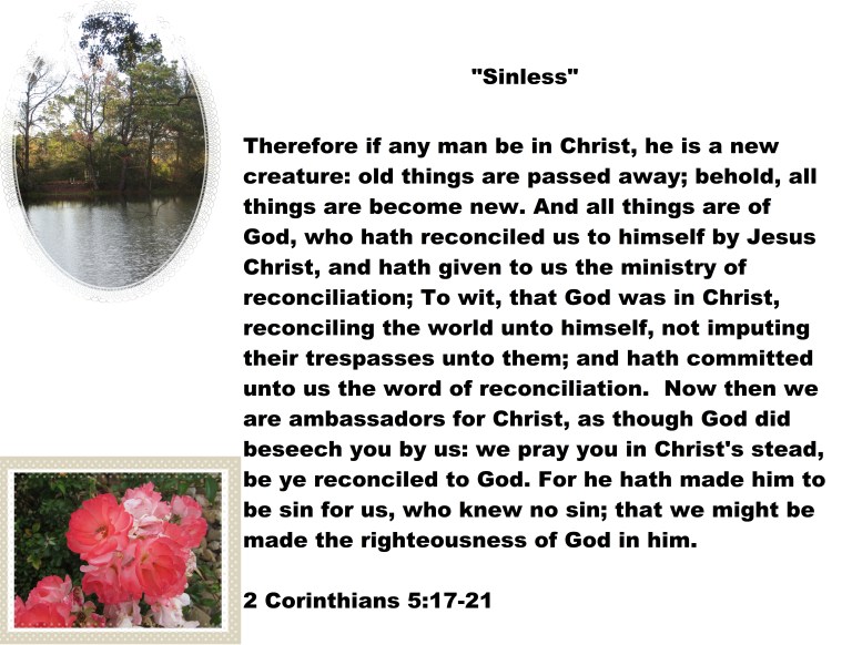 © Photo Artist Susan Ruth Robertson 090025006100 026 - Copy.JPG