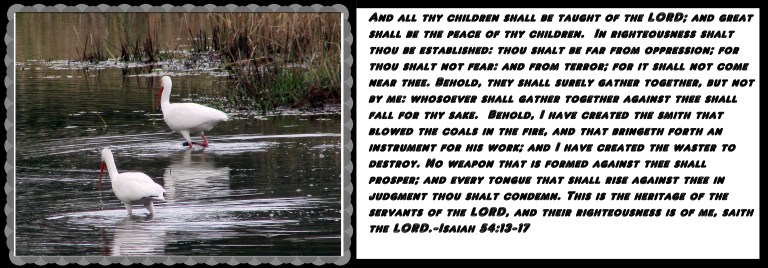 © Photo Artist Susan Ruth Robertson 090025006100 041 - Copy.JPG