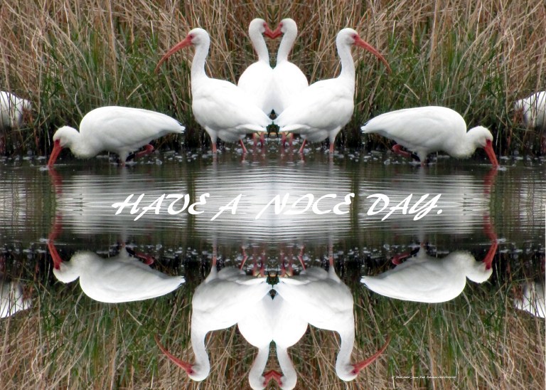 © Photo Artist Susan Ruth Robertson 090025006100 121 - Copy.JPG