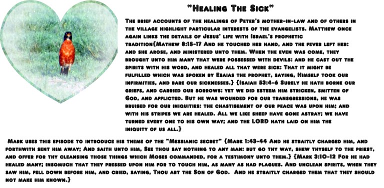 ©Photo Artist Susan Ruth Robertson 090025006100 026 - Copy - Copy.JPG