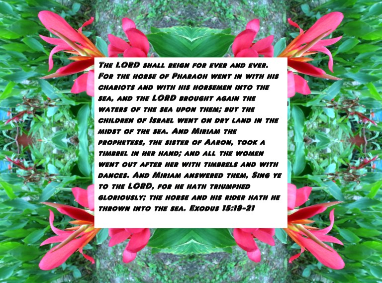 © Photo Artist Susan Ruth Robertson 004 - Copy - Copy.JPG