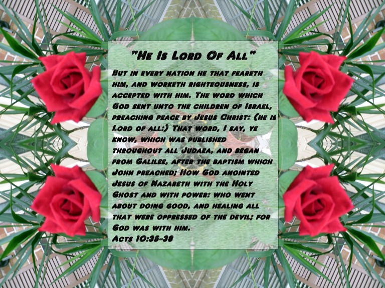 © Photo Artist Susan Ruth Robertson 090025006100 002 - Copy - Copy.JPG