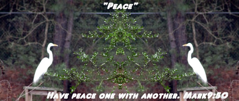 © Photo Artist Susan Ruth Robertson 090025006100 003 - Copy.JPG