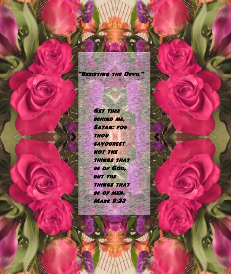 © Photo Artist Susan Ruth Robertson 090025006100 011 - Copy - Copy - Copy.JPG