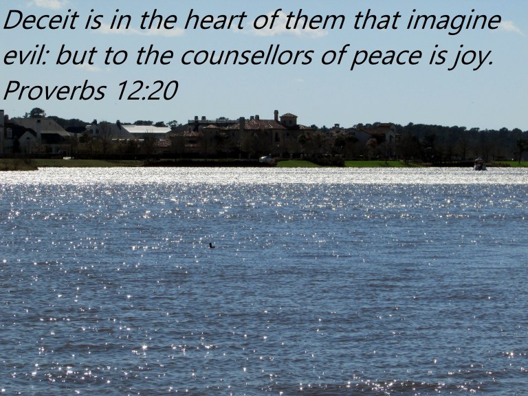 © Photo Artist Susan Ruth Robertson 090025006100 011 - Copy.JPG