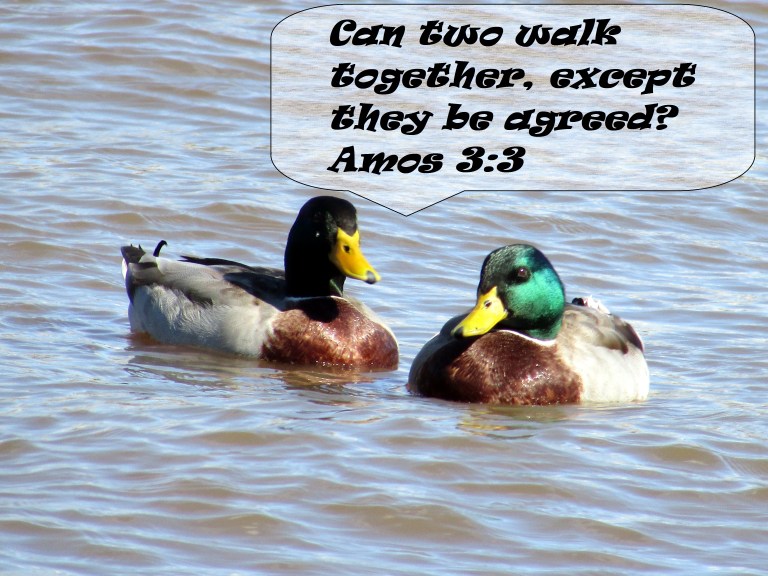 © Photo Artist Susan Ruth Robertson 090025006100 012 - Copy.JPG