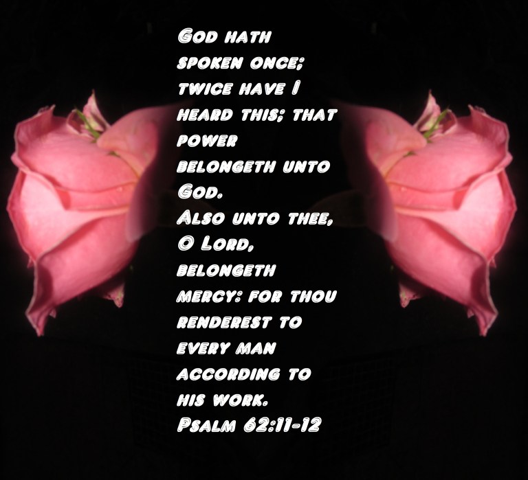 © Photo Artist Susan Ruth Robertson 090025006100 018 - Copy.JPG