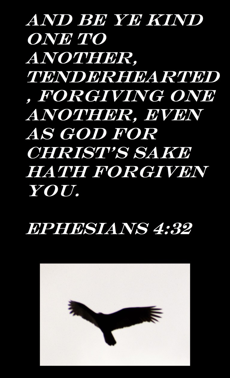 © Photo Artist Susan Ruth Robertson 090025006100 046 - Copy - Copy.JPG