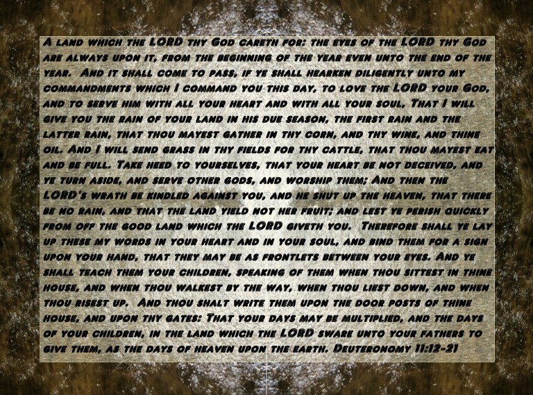 © Photo Artist Susan Ruth Robertson 090025006100 079 - Copy - Copy.JPG