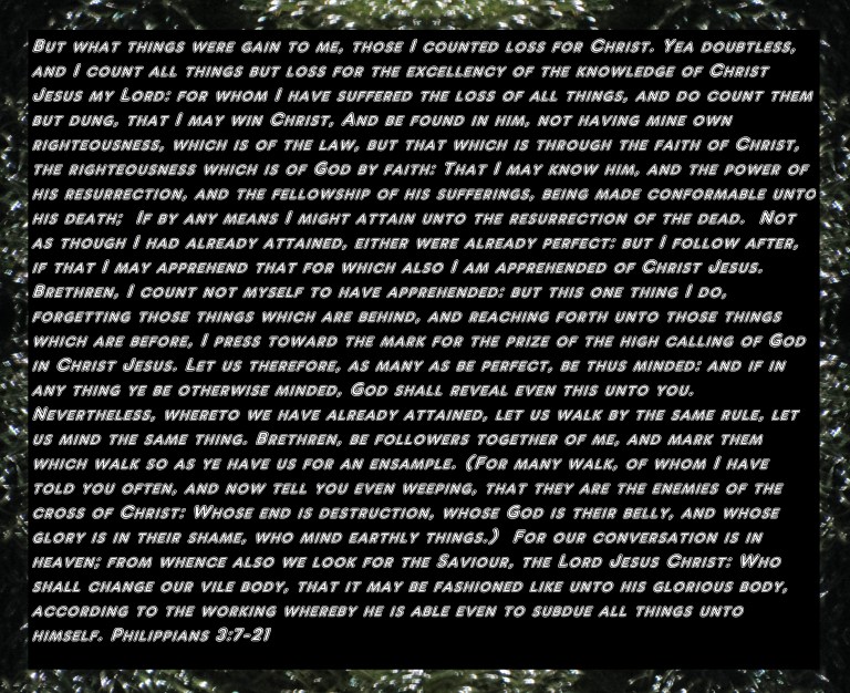 © Photo Artist Susan Ruth Robertson 090025006100 081 - Copy - Copy.JPG