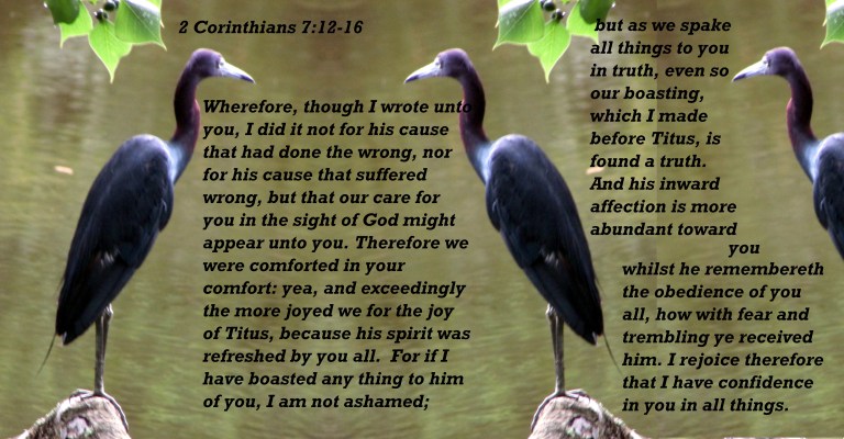 © Photo Artist Susan Ruth Robertson 0925006100 007 - Copy.JPG