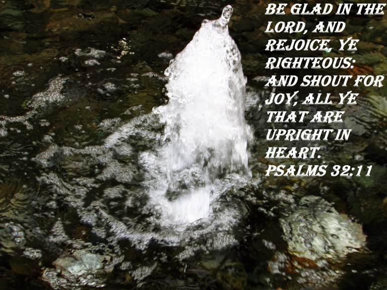 © Photo Artist Susan ruth Robertson 09002500100 042.JPG