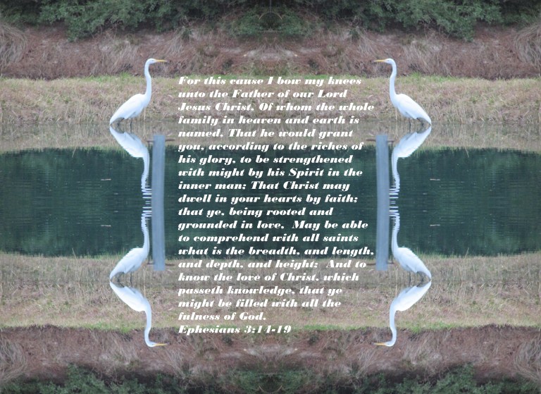 © Photo Artist Susan Ruth Robertson 090025006100 005 - Copy - Copy.JPG