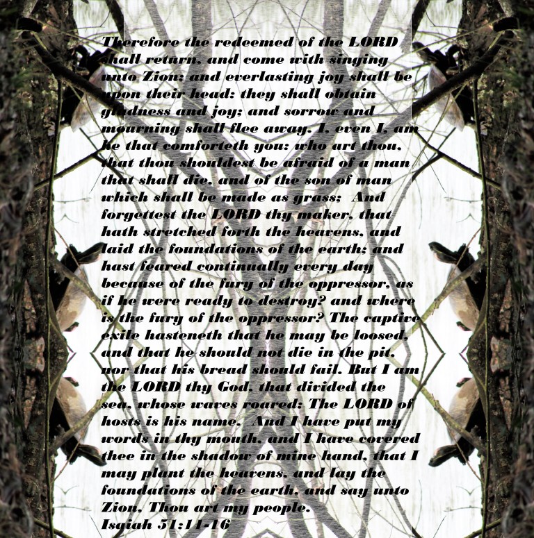 © Photo Artist Susan Ruth Robertson 090025006100 007 - Copy.JPG