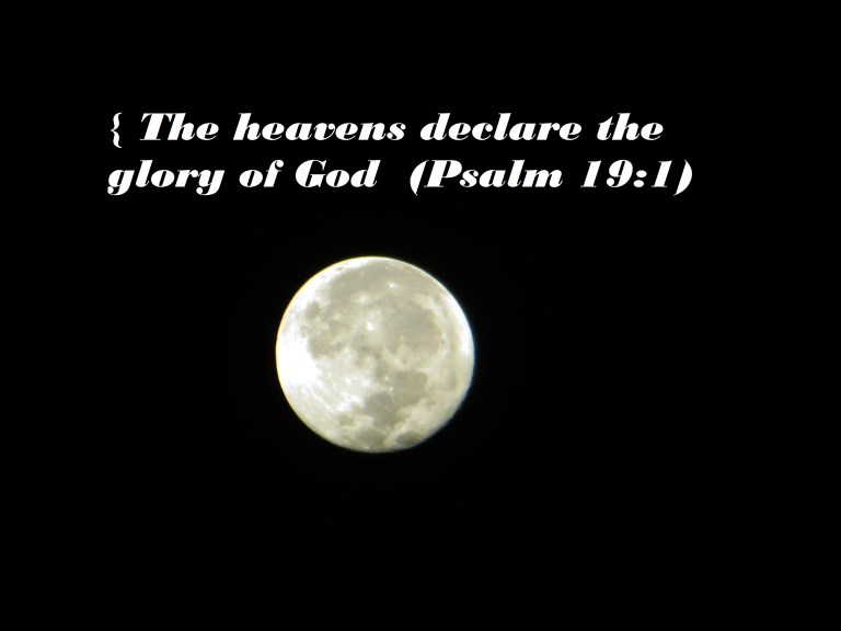 © Photo Artist Susan Ruth Robertson 090025006100 016 - Copy.JPG