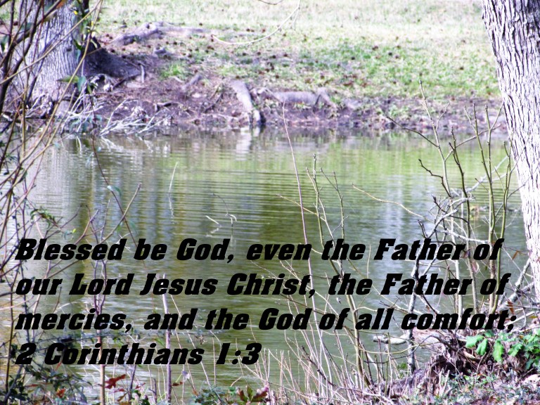 © Photo Artist Susan Ruth Robertson 090025006100 037 - Copy.JPG