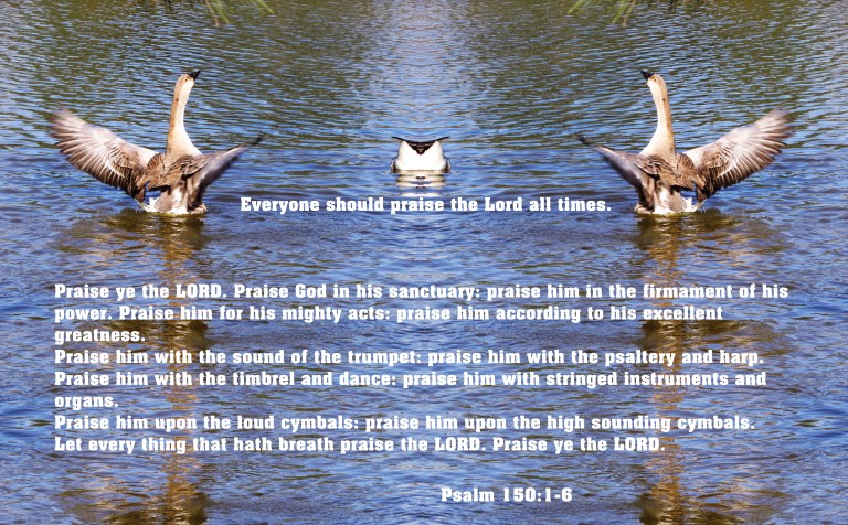 © Photo Artist Susan Ruth Robertson 090025006100 177 - Copy.JPG