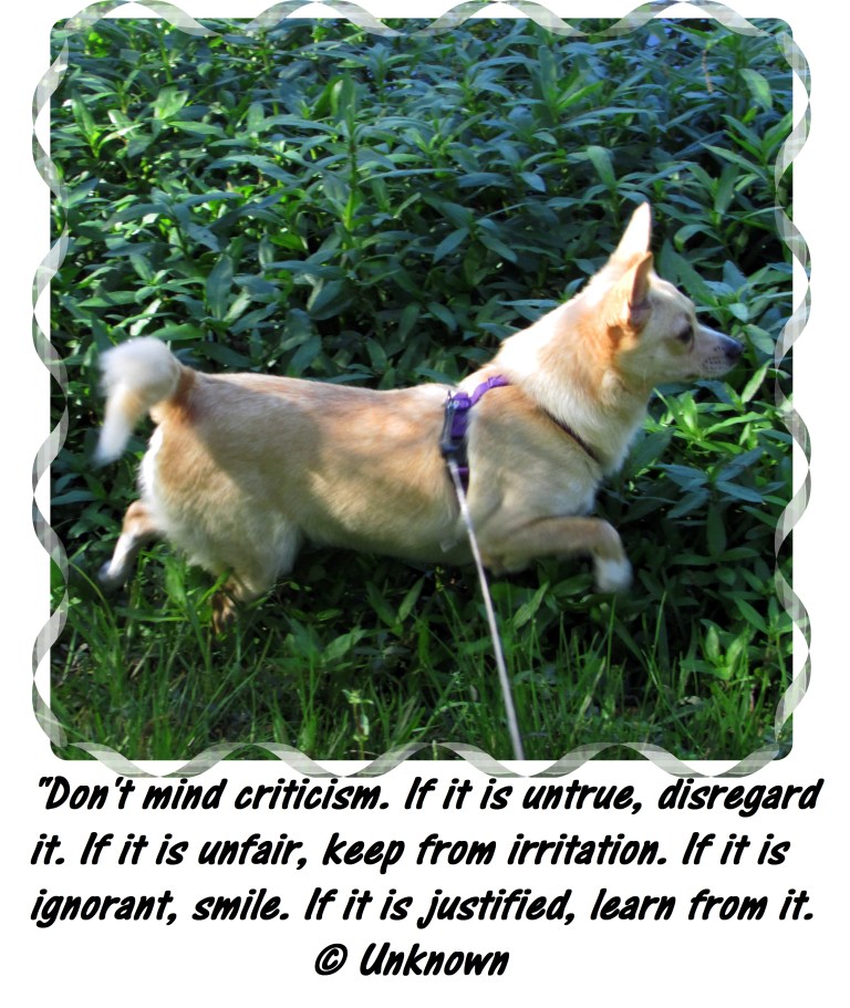 © Photo Artist Susan Ruth Robertson 090025006100 002 - Copy.JPG