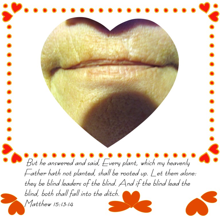 © Photo Artist Susan Ruth Robertson 090025006100 003 - Copy.JPG