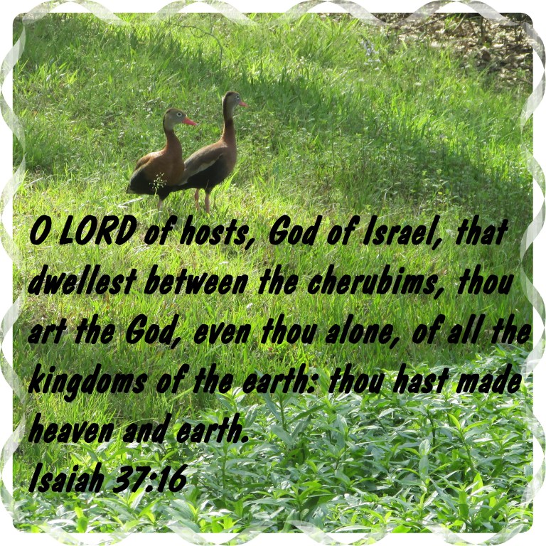 © Photo Artist Susan Ruth Robertson 090025006100 013 - Copy.JPG