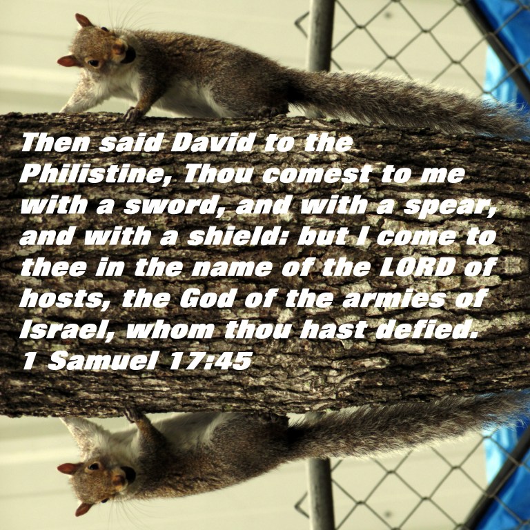 © Photo Artist Susan Ruth Robertson 090025006100 015 - Copy.JPG