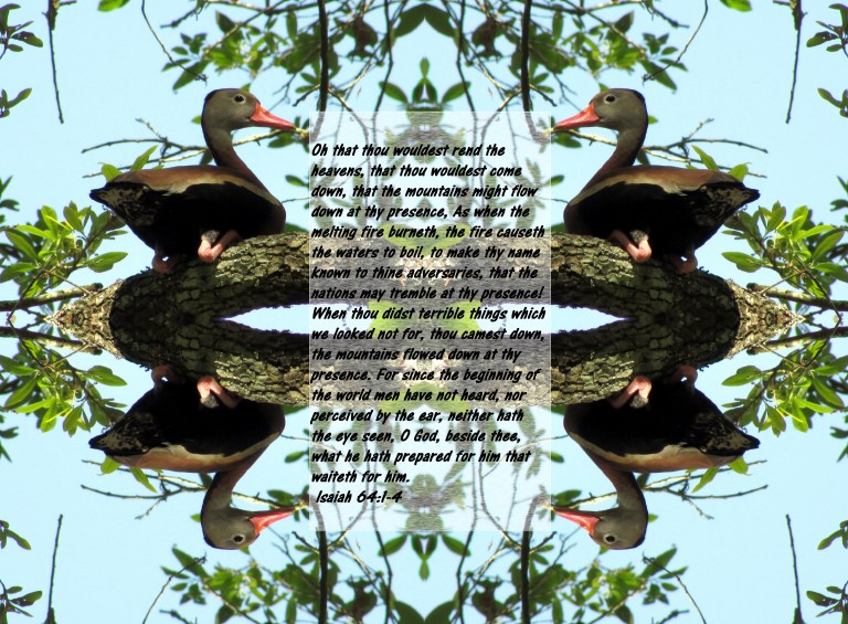 © Photo Artist Susan Ruth Robertson 090025006100 020 - Copy - Copy.JPG