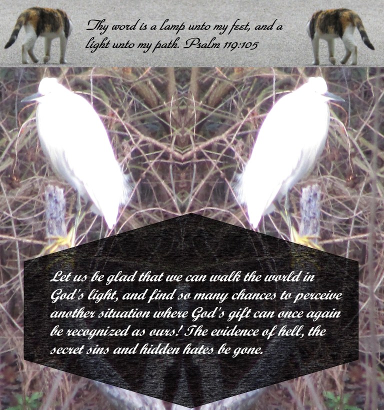 © Photo Artist Susan Ruth Robertson 090025006100 022 - Copy.JPG