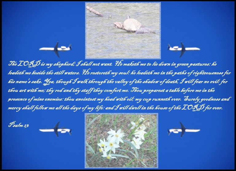 © Photo Artist Susan Ruth Robertson 090025006100 037 - Copy.JPG