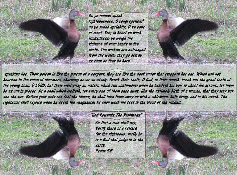 © Photo Artist Susan Ruth Robertson 090025006100 043.JPG