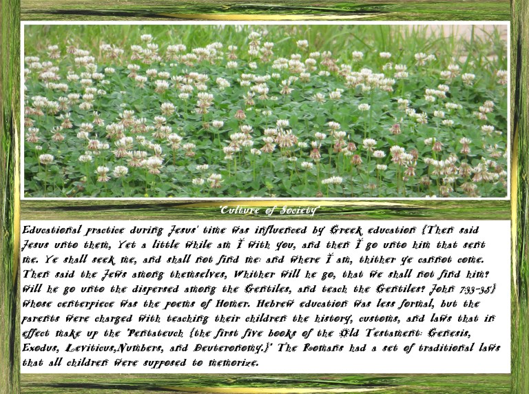 © Photo Artist Susan Ruth Robertson 090025006100 069 - Copy - Copy (2).JPG