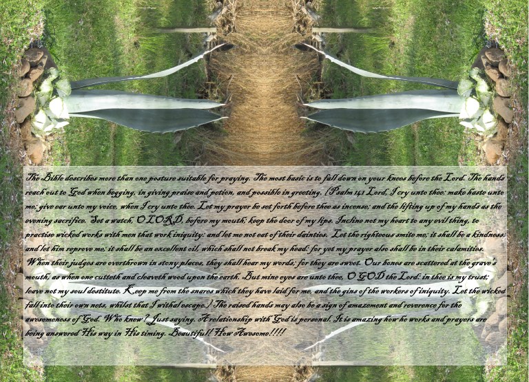 © Photo Artist Susan Ruth Robertson 090025006100 076 - Copy - Copy.JPG