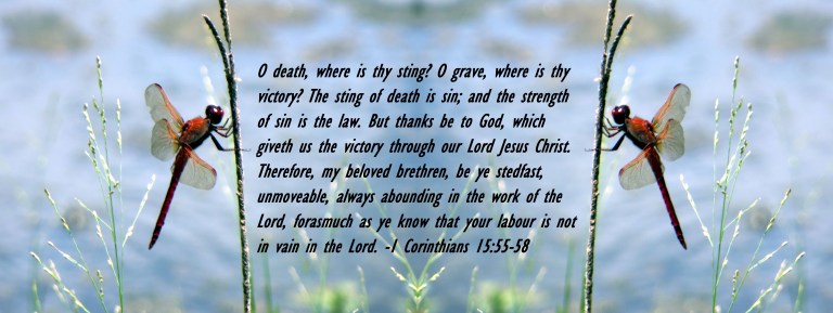 © Photo Artist Susan Ruth Robertson 090025006100  (102) - Copy.JPG