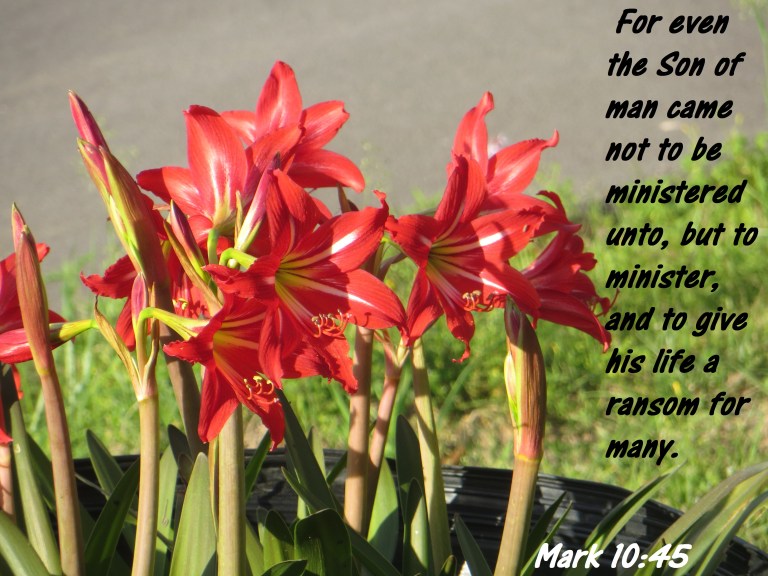 © Photo Artist Susan Ruth Robertson 090025006100 110 - Copy.JPG