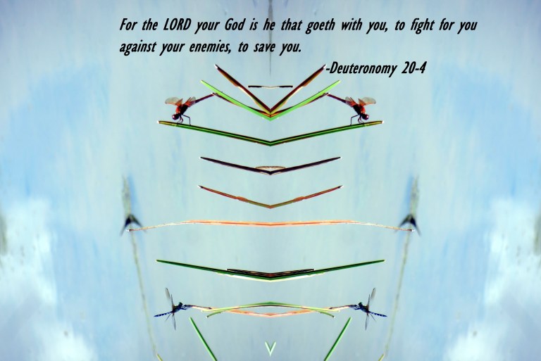 © Photo Artist Susan Ruth Robertson 090025006100  (31) - Copy.JPG