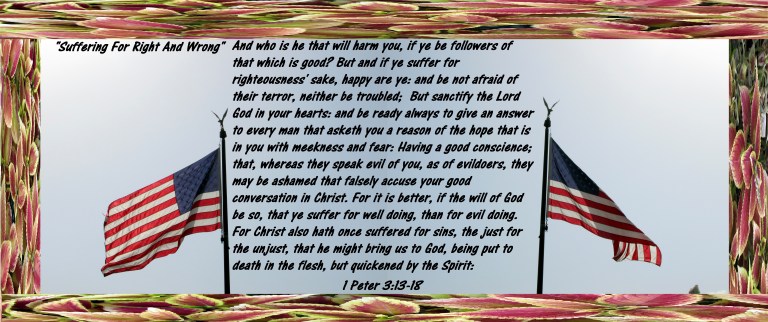 © Photo Artist Susan Ruth Robertson 090025006100SX400 IS 007.JPG