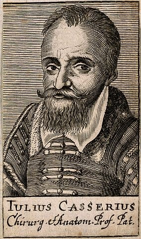 Giulio_Casserio._Line_engraving,_1688._Wellcome_V0001025.jpg