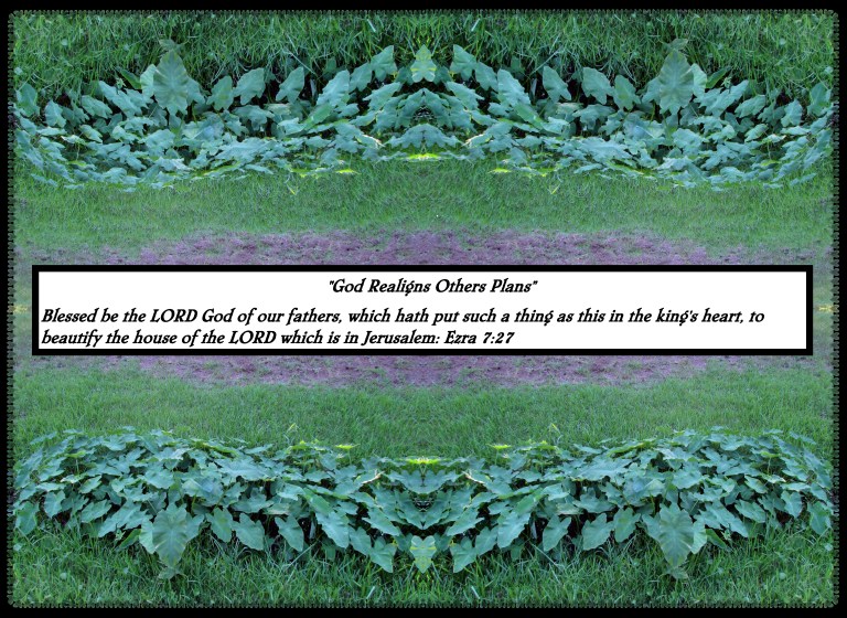 SX400 IS © Photo Artist Susan Ruth Robertson 090025006100 017 - Copy - Copy - Copy - Copy.JPG