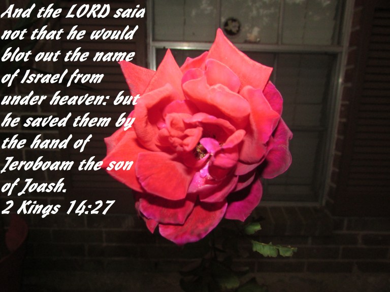 012 - Copy - Copy.JPG