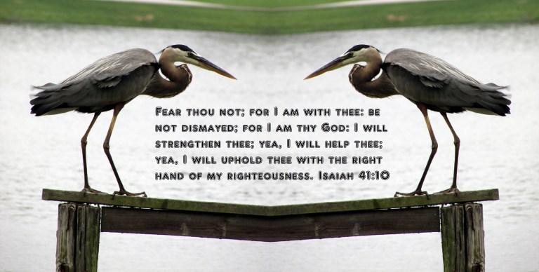 © Photo Artist Susan Ruth Robertson 090-025006100 041 - Copy.JPG