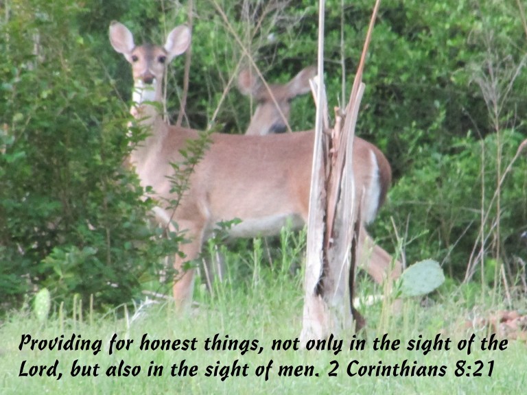 © Photo Artist Susan Ruth Robertson 090025006100 001.JPG