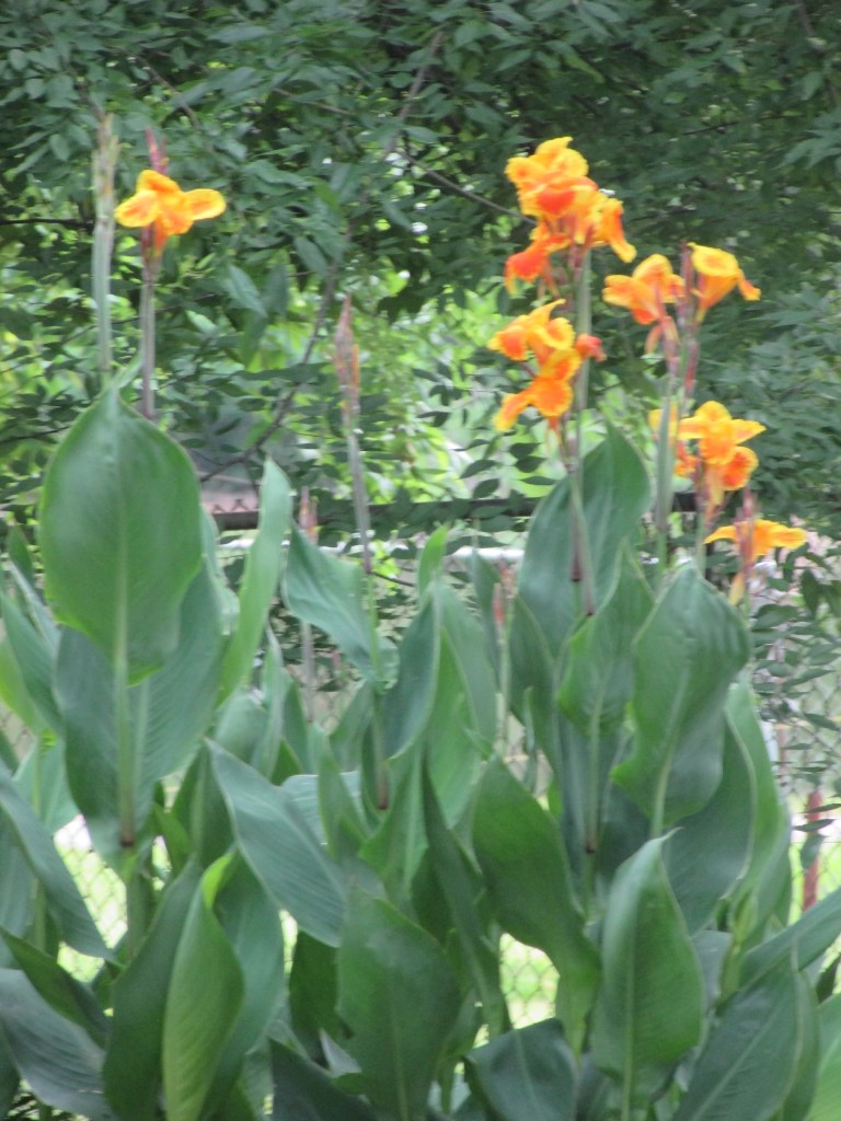 © Photo Artist Susan Ruth Robertson 090025006100 001