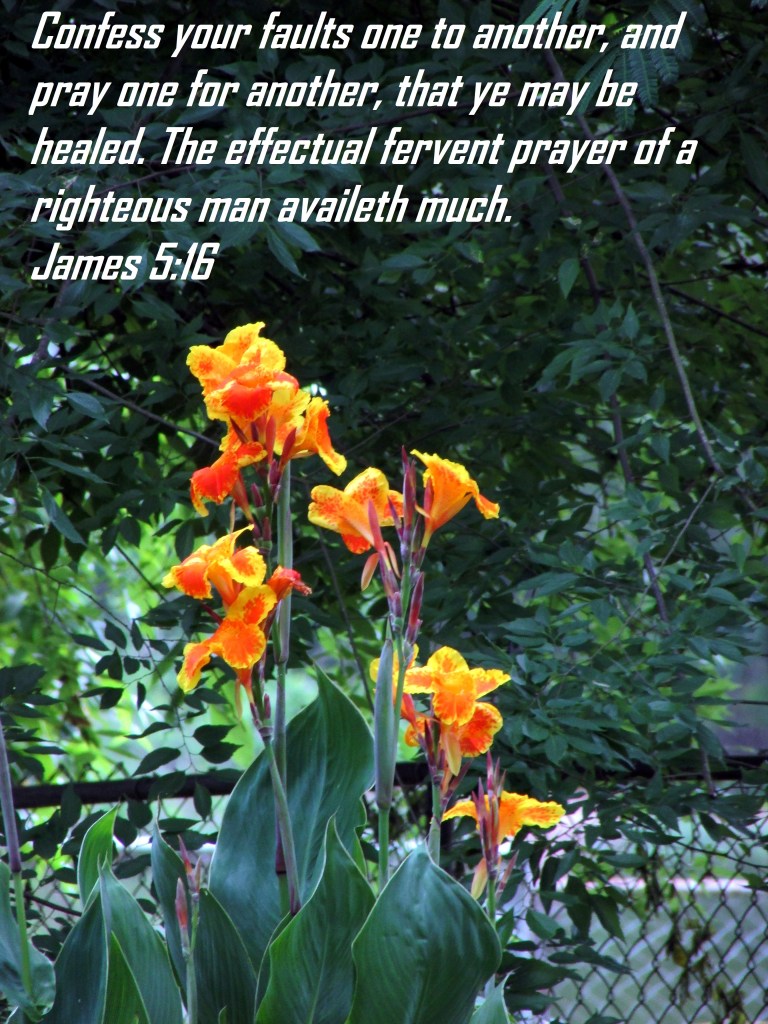 © Photo Artist Susan Ruth Robertson 090025006100 002 - Copy.JPG