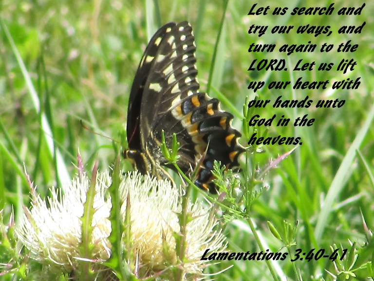 © Photo Artist Susan Ruth Robertson 090025006100 003 - Copy.JPG