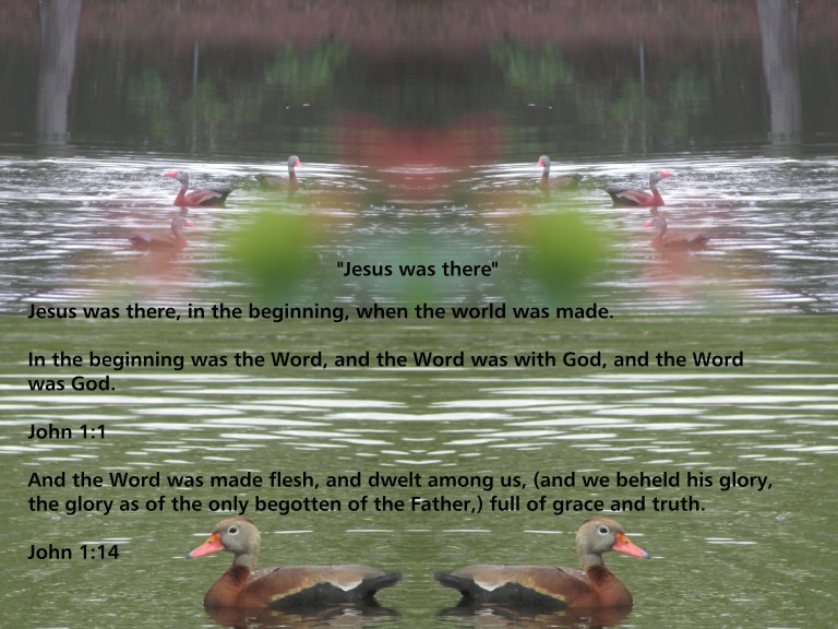 © Photo Artist Susan Ruth Robertson 090025006100 014 - Copy.JPG