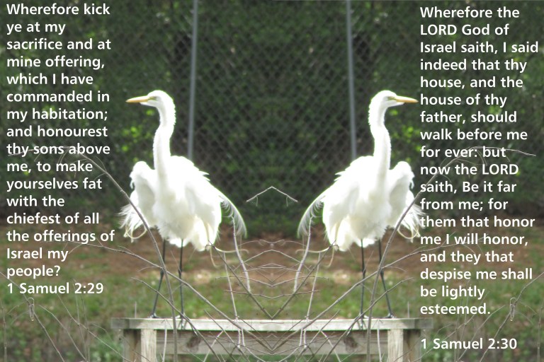 © Photo Artist Susan Ruth Robertson 090025006100 017 - Copy.JPG