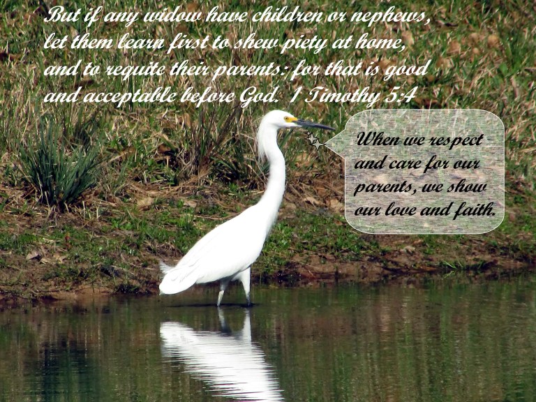 © Photo Artist Susan Ruth Robertson 090025006100 019 - Copy.JPG