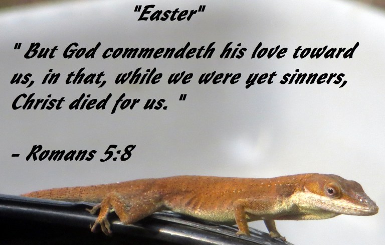 © Photo Artist Susan Ruth Robertson 090025006100 027 - Copy.JPG