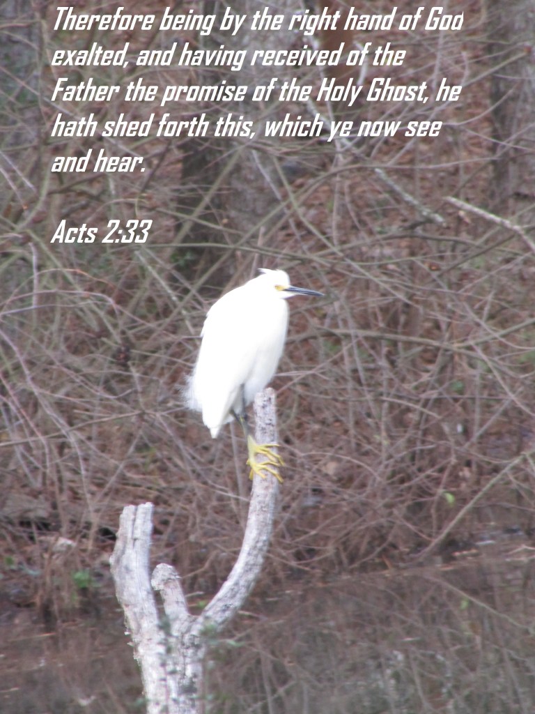 © Photo Artist Susan Ruth Robertson 090025006100 035 - Copy.JPG